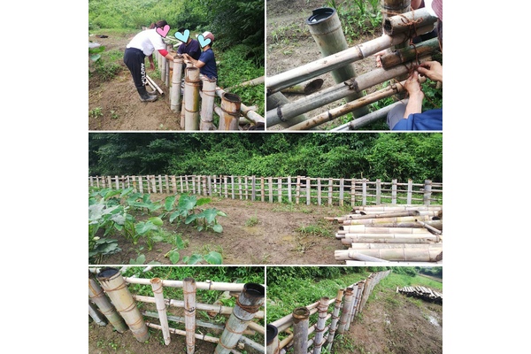 施設管理の竹柵